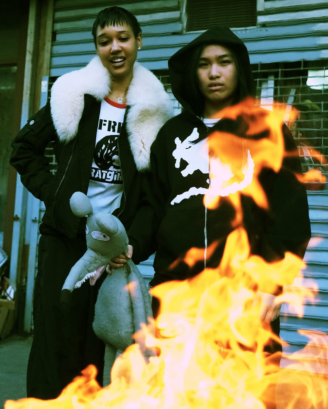 Stray Rats