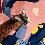 The MOVING IMAGE JUMPER' RUG  available online with global shipping, and in PAM Stores Melbourne and Sydney.