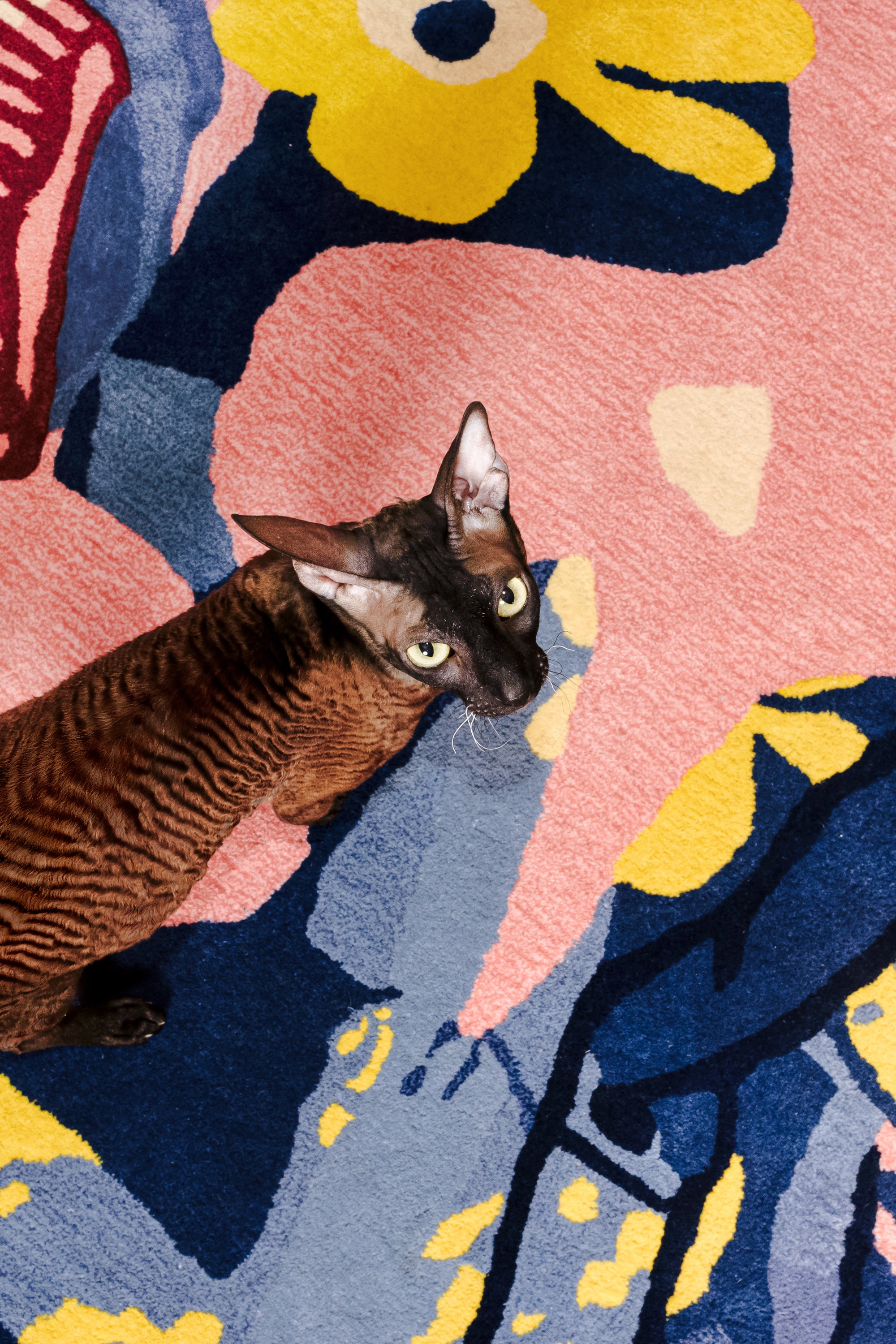 The MOVING IMAGE JUMPER' RUG available online with global shipping, and in PAM Stores Melbourne and Sydney.