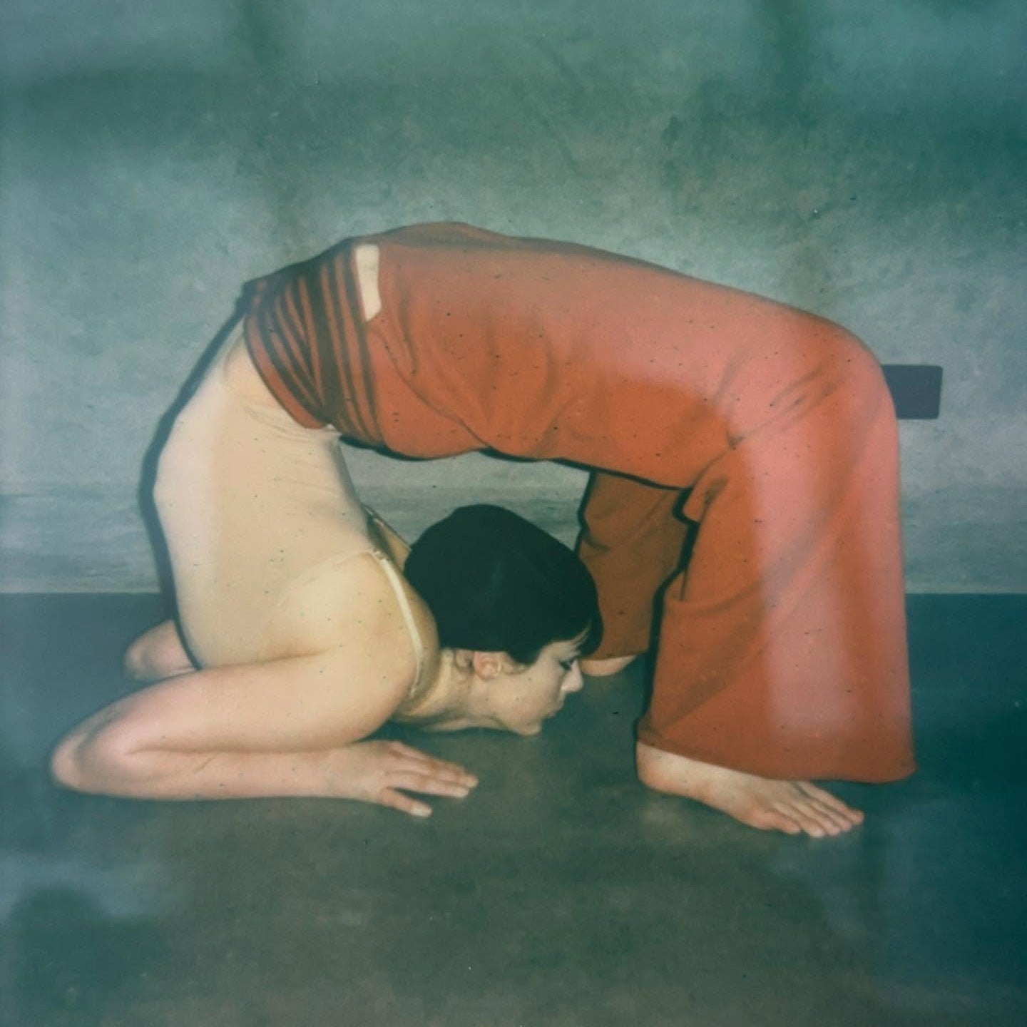 KARLA LAIDLAW