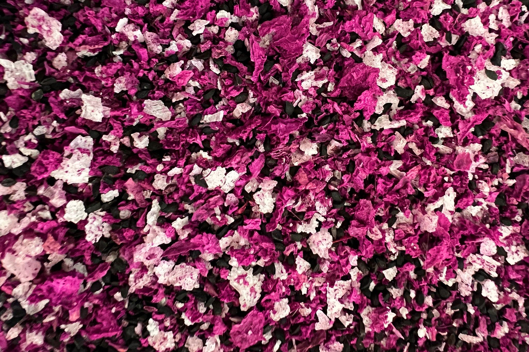 PAM X ROUGH RICE – P.A.M. (Perks And Mini)