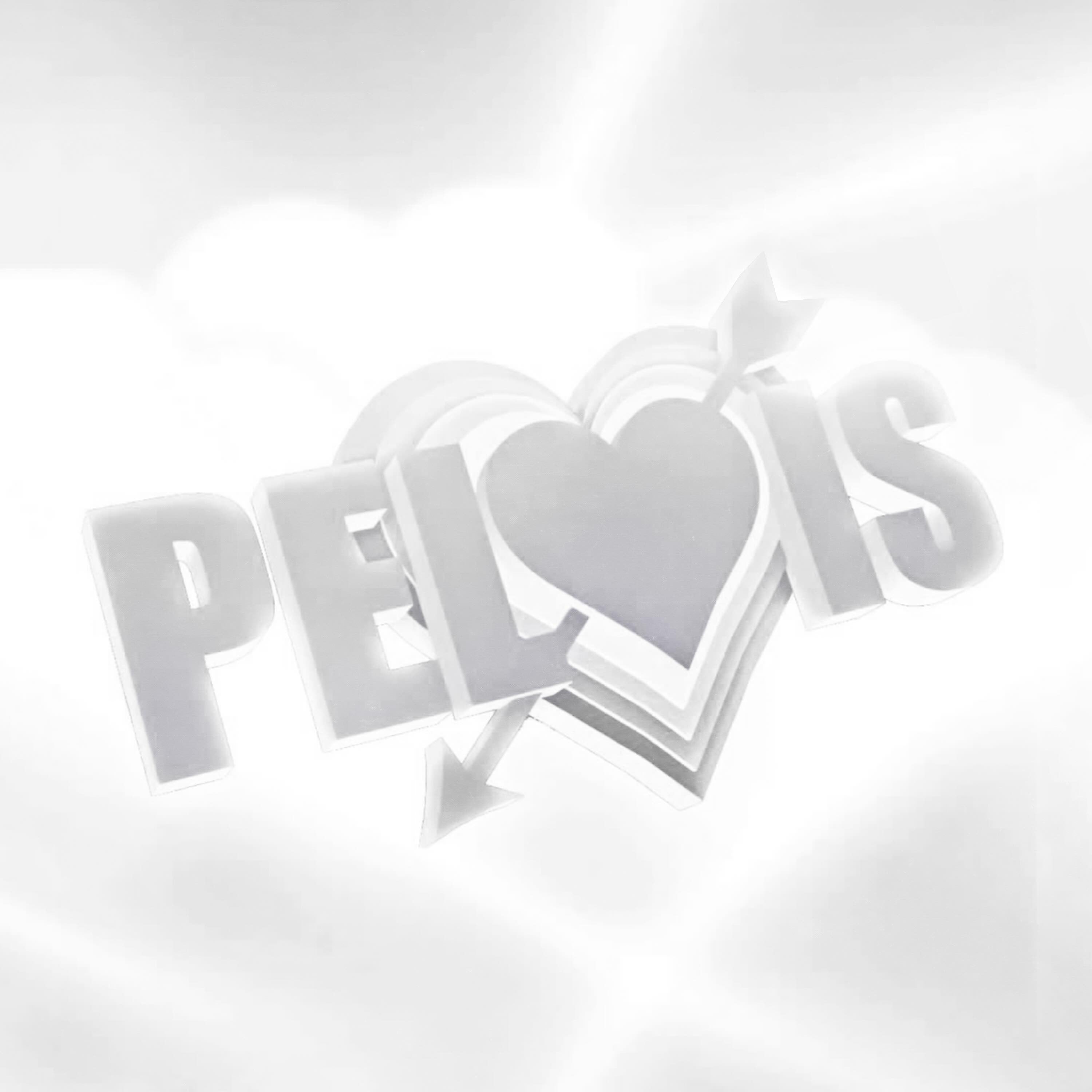 PELVIS