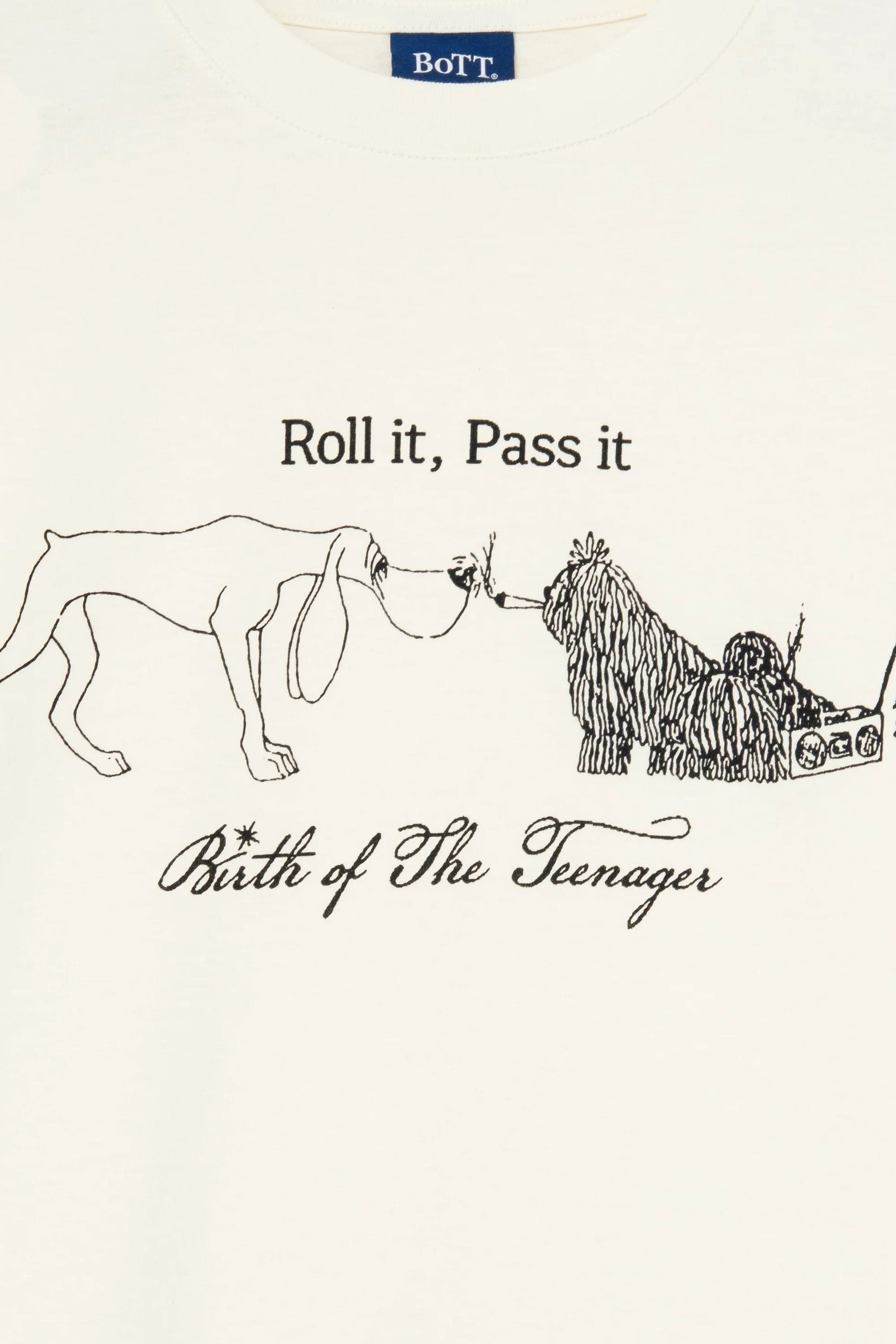 Slide image